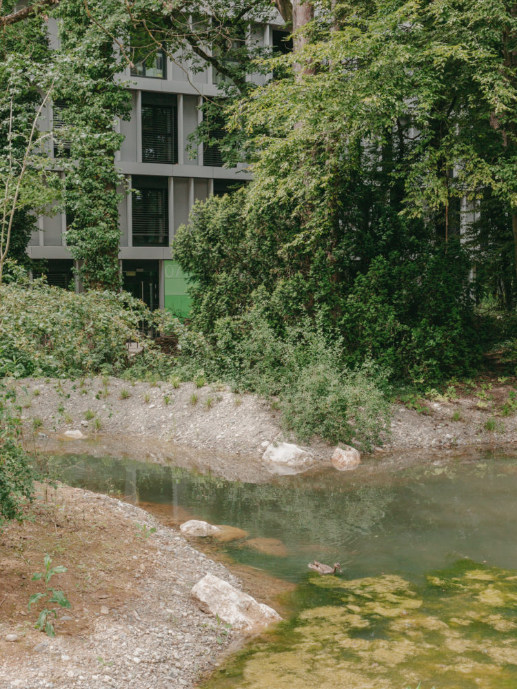 parc quartier étang vernier apaar