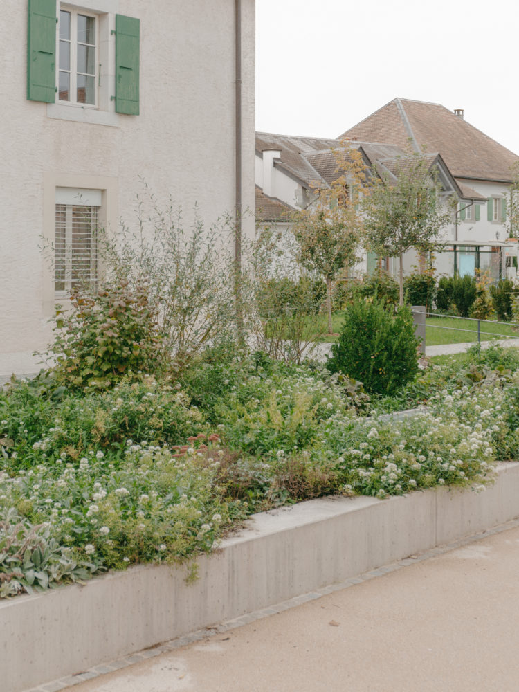 Aménagement extérieur d'une école à Meinier