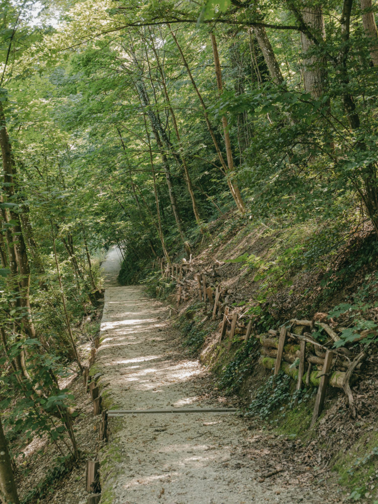 Aménagement de chemins publics à Carouge
