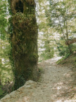 Aménagement de chemins publics à Carouge