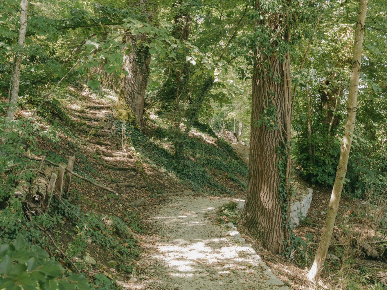Aménagement de chemins publics à Carouge