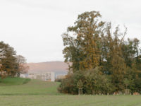 aménagement forestier du Bois de la citadelle, Meyrin