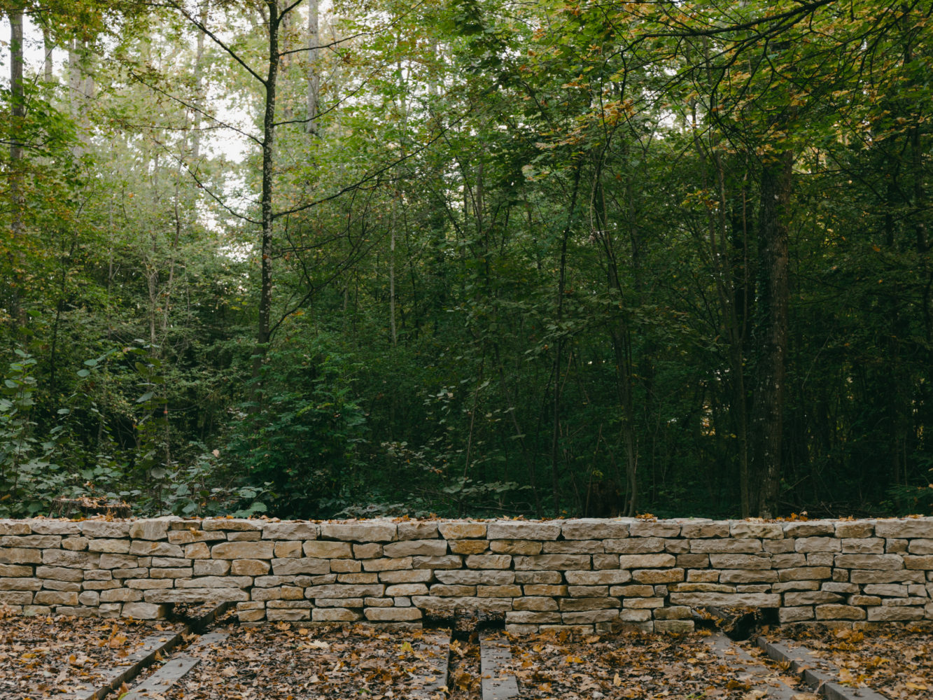 aménagement forestier du Bois de la citadelle, Meyrin