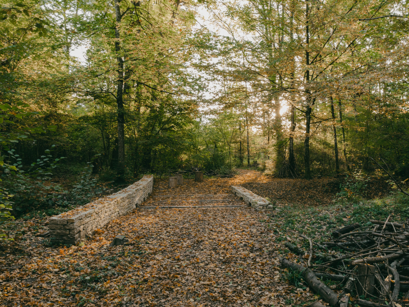 aménagement forestier du Bois de la citadelle, Meyrin