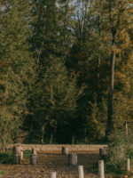 aménagement forestier du Bois de la citadelle, Meyrin