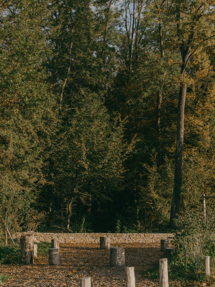 aménagement forestier du Bois de la citadelle, Meyrin