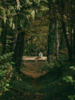 aménagement forestier du Bois de la citadelle, Meyrin