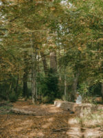 aménagement forestier du Bois de la citadelle, Meyrin