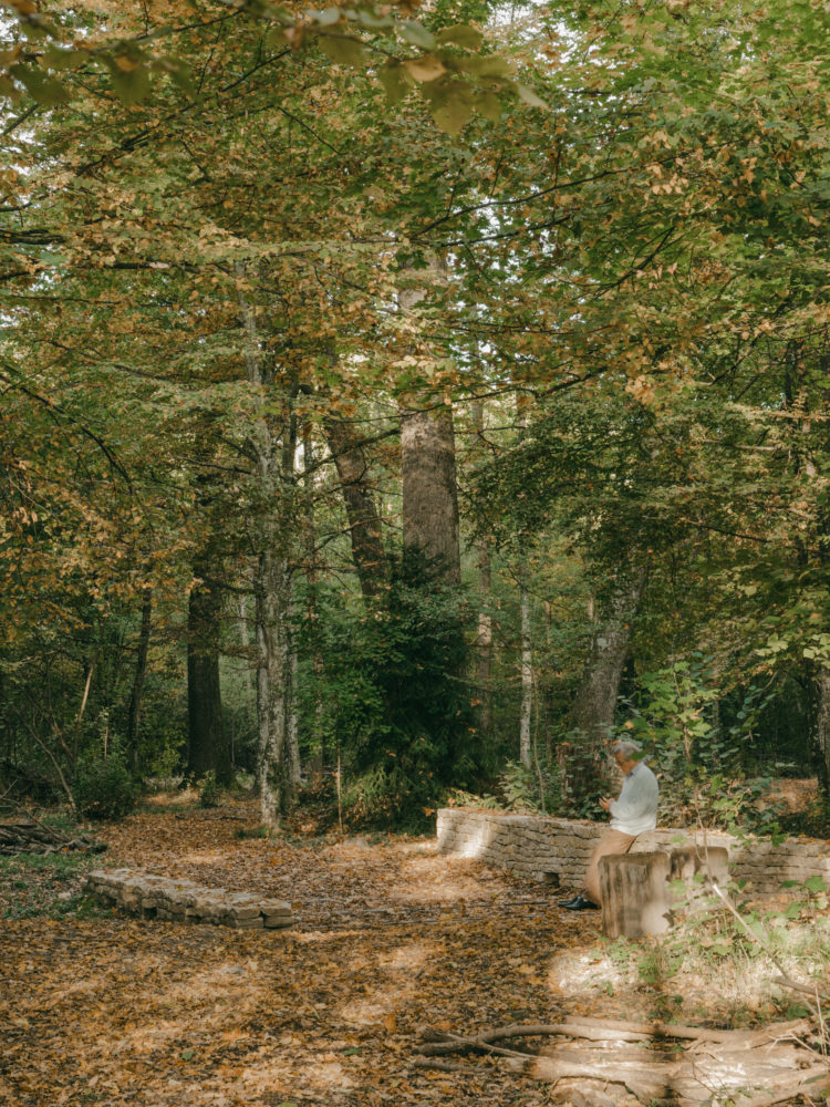 aménagement forestier du Bois de la citadelle, Meyrin