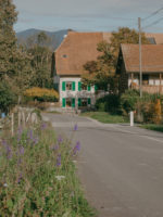 Détail seuils - Route de Prevessin - architecture du paysage