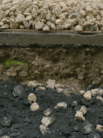 Chantier d'arborisation au Paquis, genève