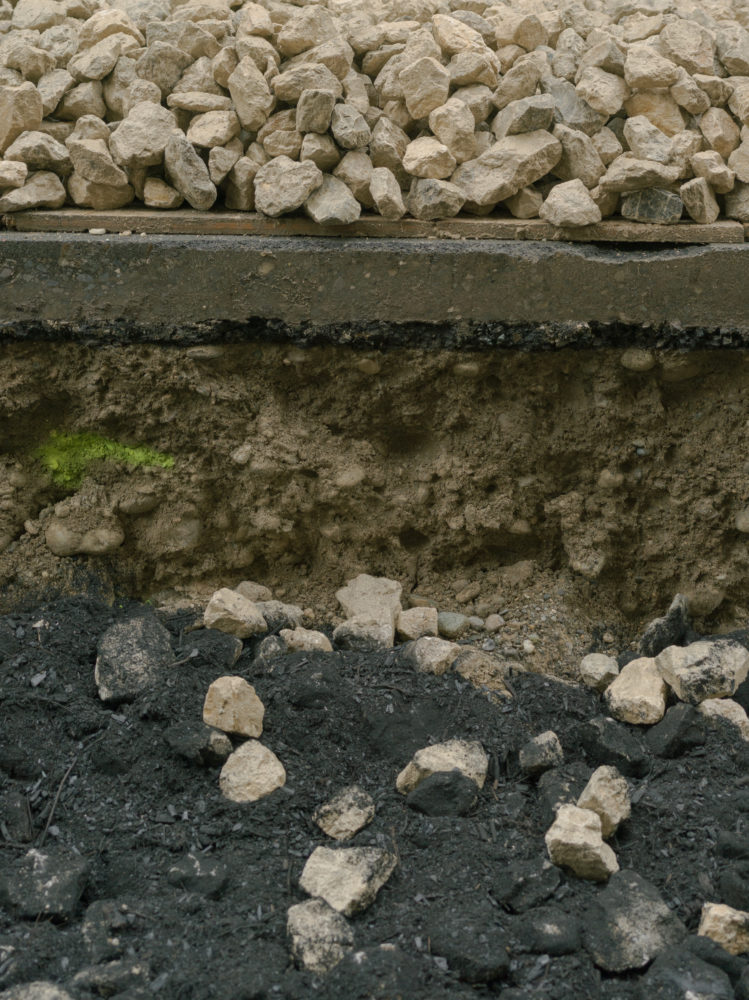 Chantier d'arborisation au Paquis, genève