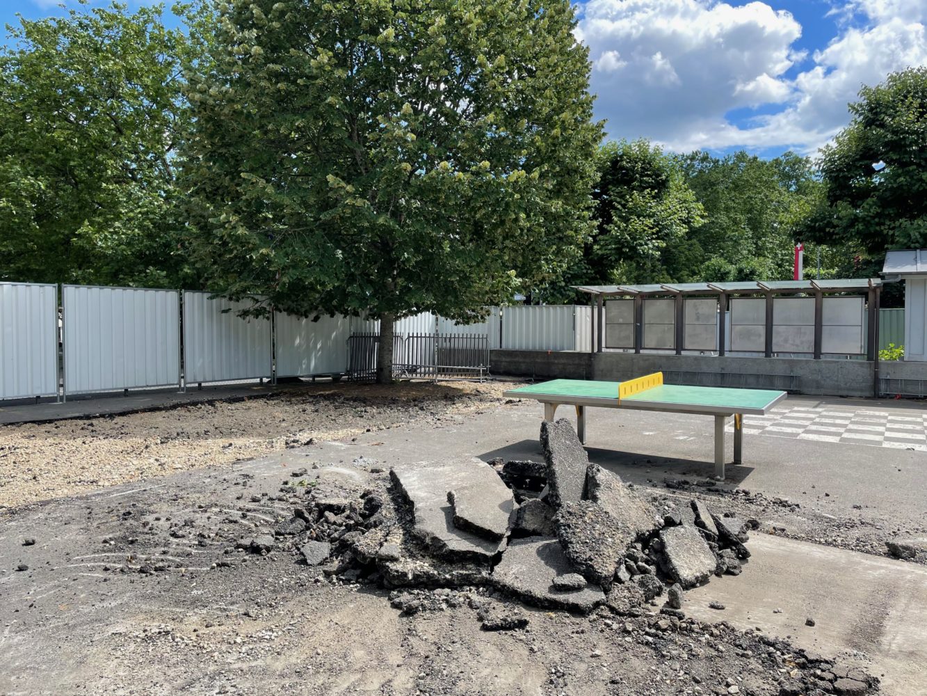 Chantier de végétalisation d'un préau à Chêne-Bougeries
