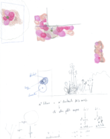 Anières schema plantation