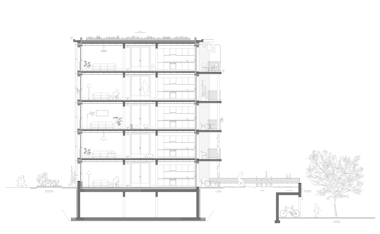 coupe 1-50 quartier d'habitation beauregard neuchâtel