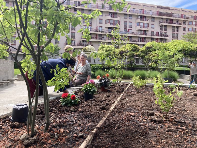 Chantier de jardinage avec les habitants