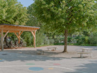 Végétalisation d'un préau à Chêne-Bougeries, abri velo