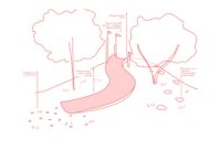 Désimperméabilisation et végétalisation de la place Rigaud, schéma