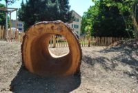 Désimperméabilisation et végétalisation de la place Rigaud, reemploi tronc